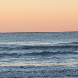 Meet your Posher, Bri